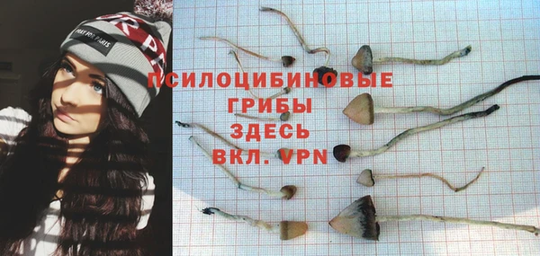амфетамин Гусь-Хрустальный