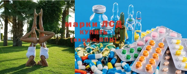 трава Гусев