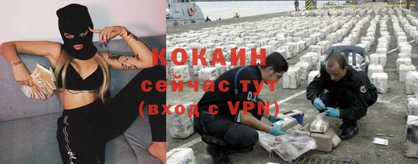 трава Гусев