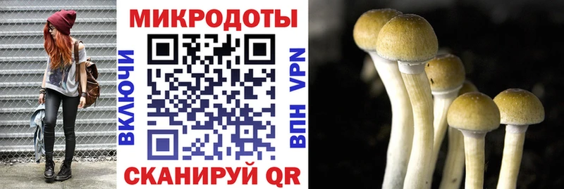 Купить где  Сарапул  Галлюциногенные грибы прущие грибы 